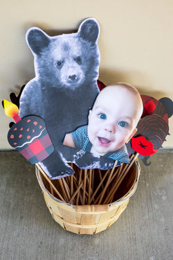 Bear Cub Birthday