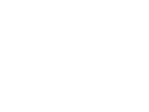 Velocity V1Asset 2_2x.png