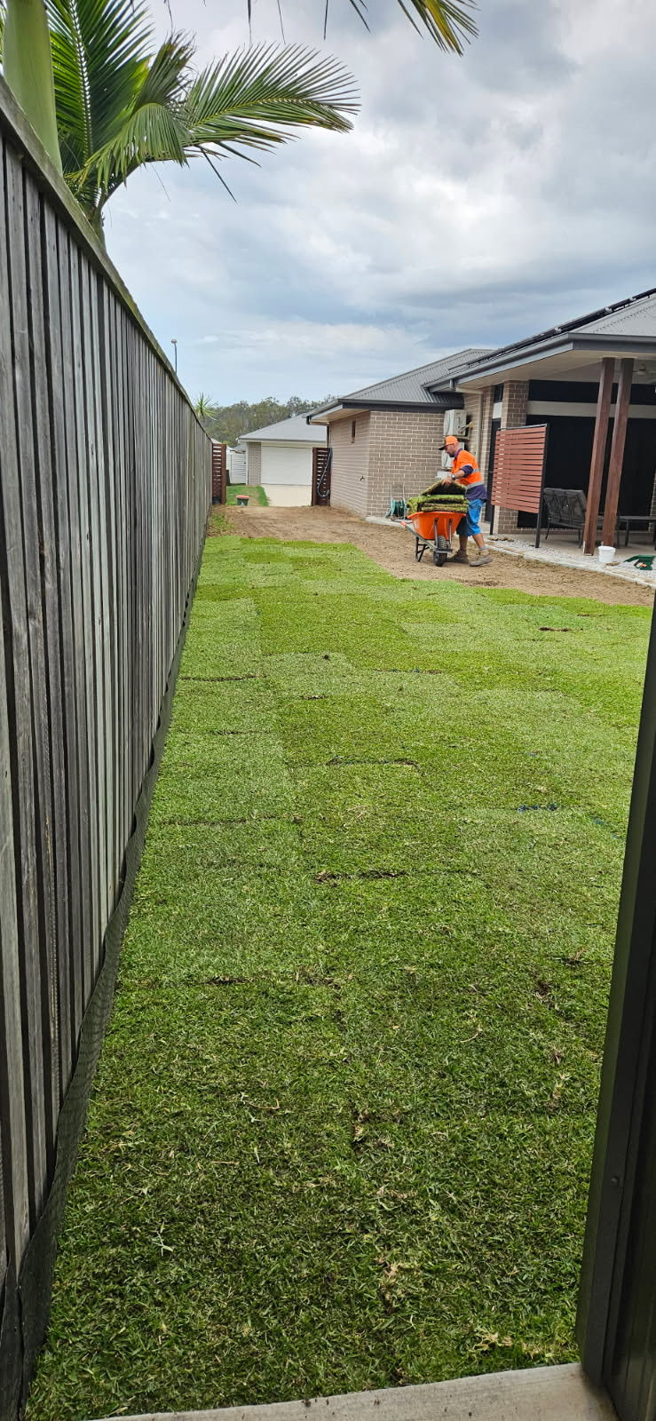 Fresh green turf laid next to a wooden fence