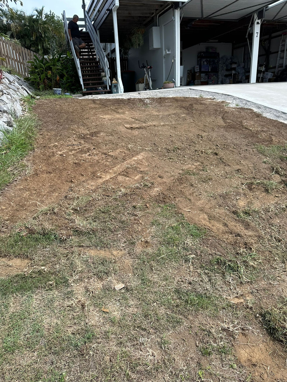 Cleared ground ready for site preparation