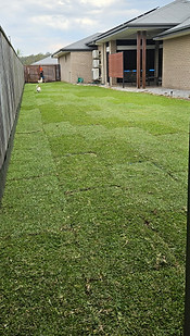 Turf laid