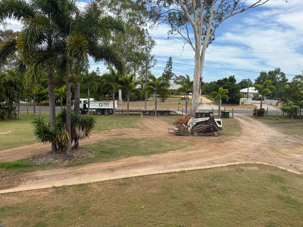 yard clean up