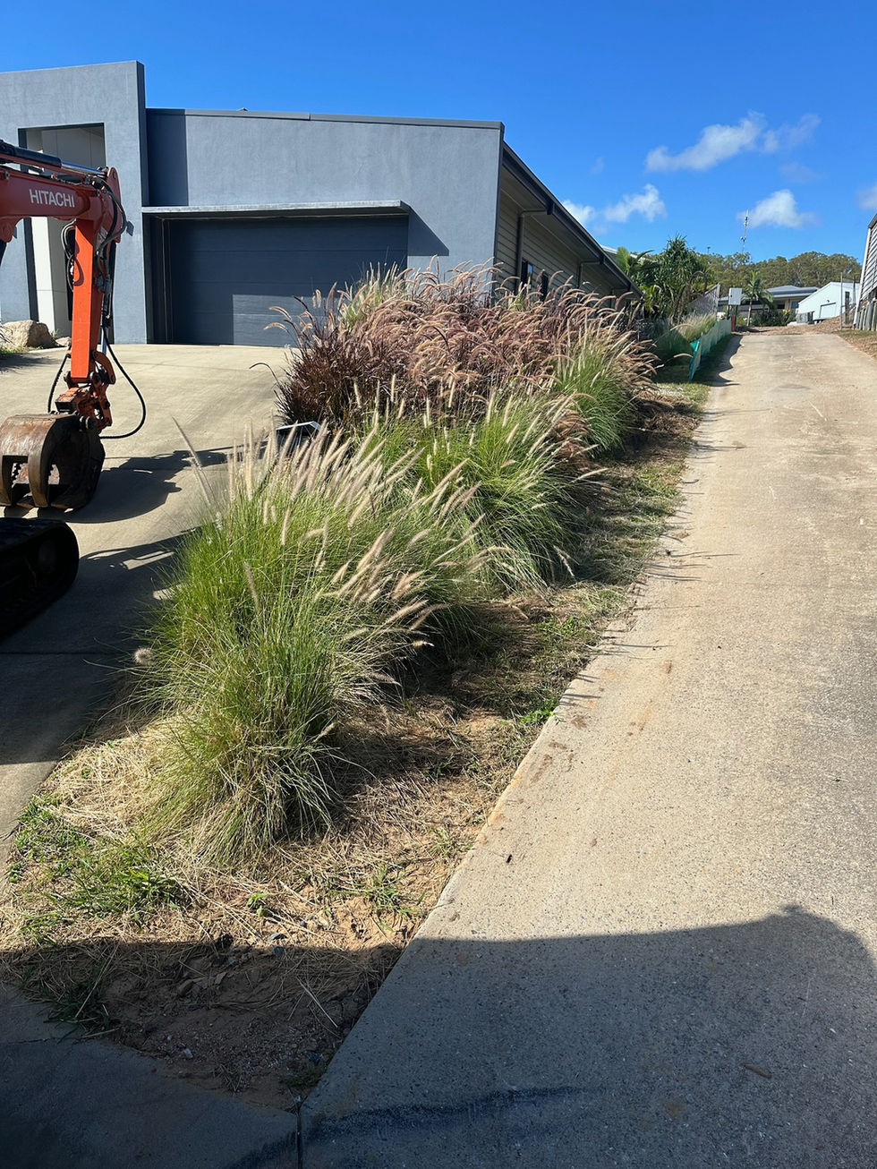 Garden plants along concrete path, commercial building, and excavator
