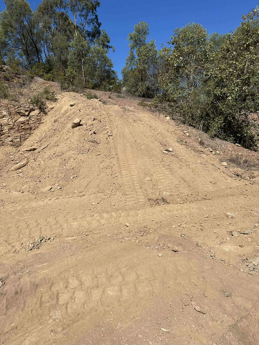 Dirt path leading uphill through trees