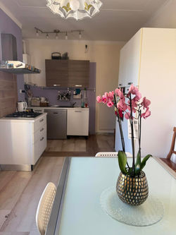 471326462_10228909668270882_8939164197673467145_n