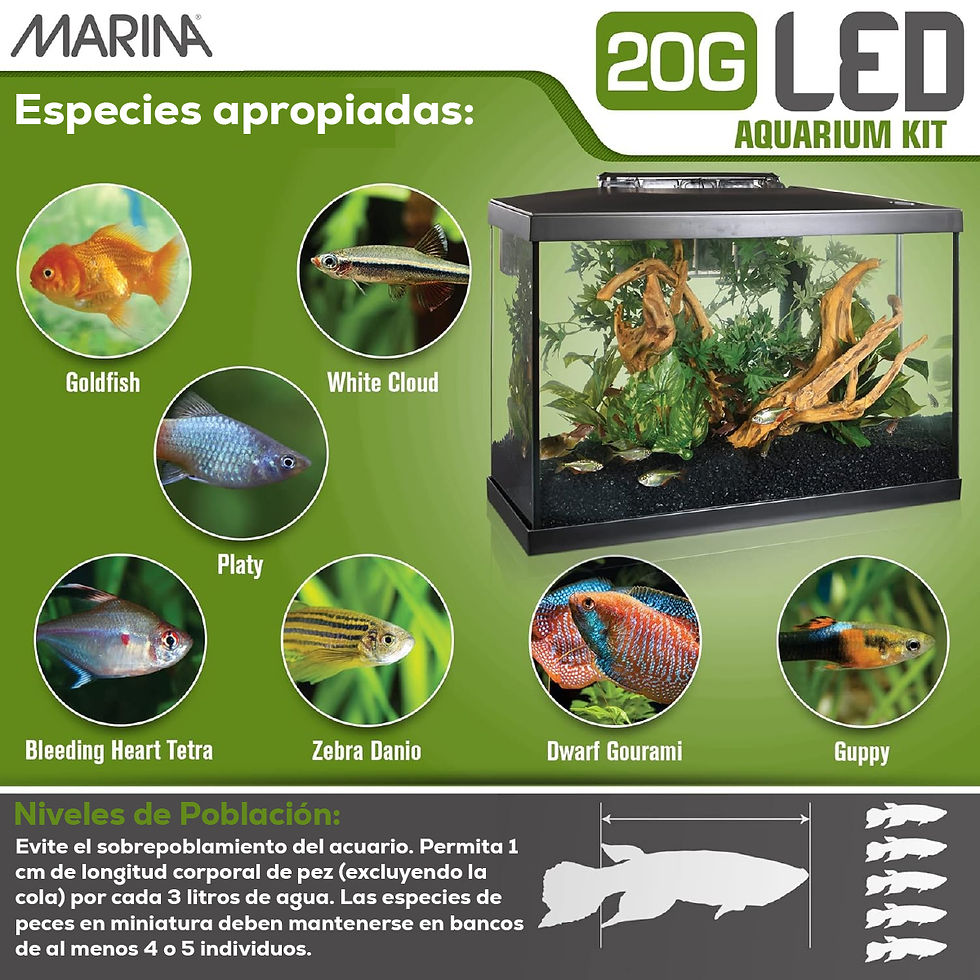 Miniatura: Marina Kit Acuario LED 20G