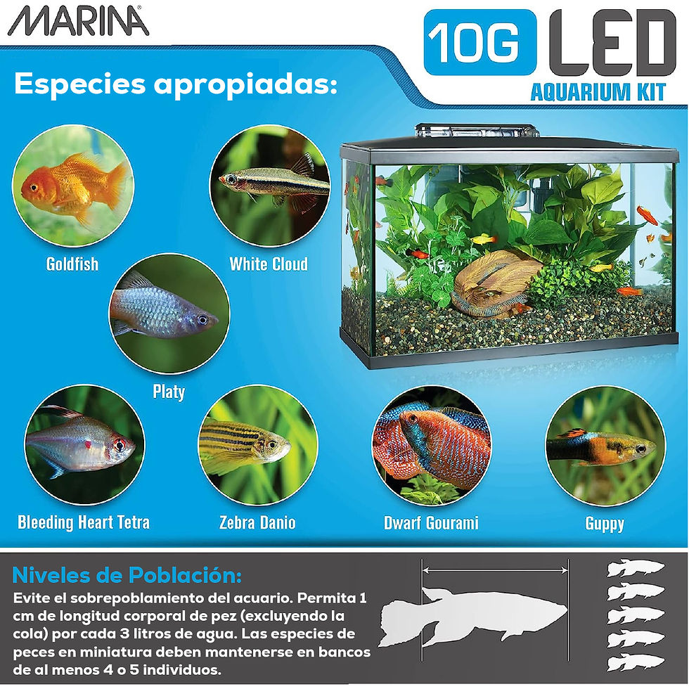 Miniatura: Marina Kit Acuario LED 10G