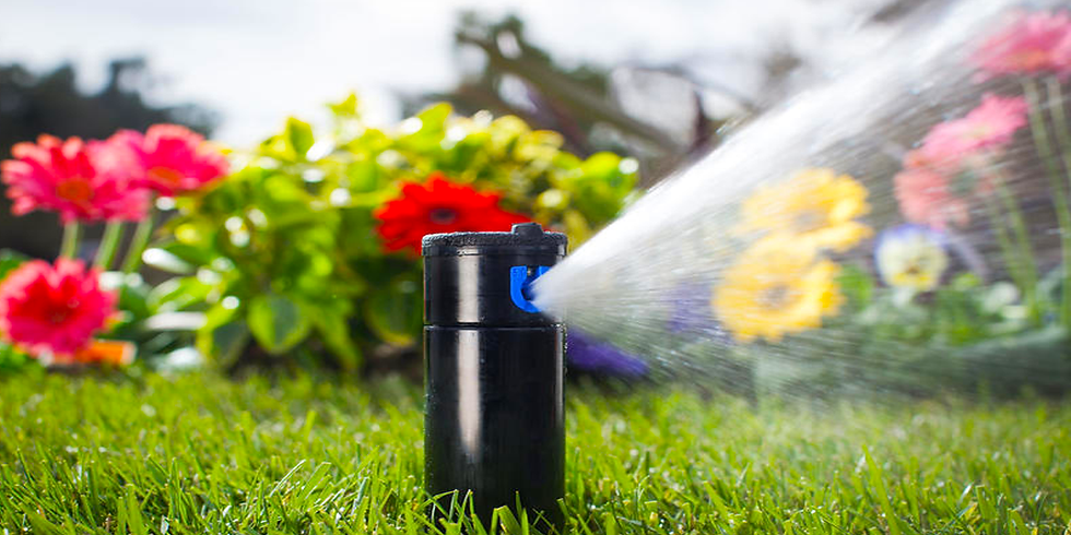 Orlando_Irrigation_Repairs 1.jpeg