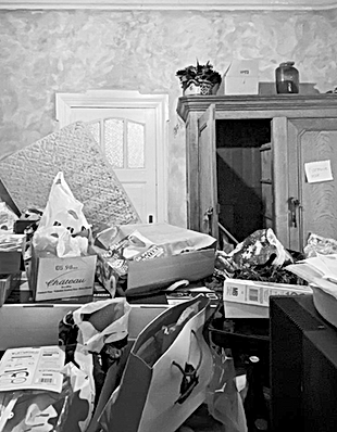 Cleaning a house that once belonged to a victim of Diogenes syndrome.