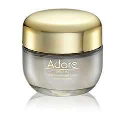 Dreams Multi Active Night Cream.png