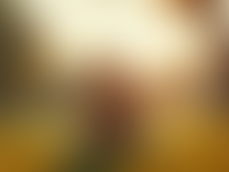 Holistic Therapy Benefits for Veterans' Mental Health