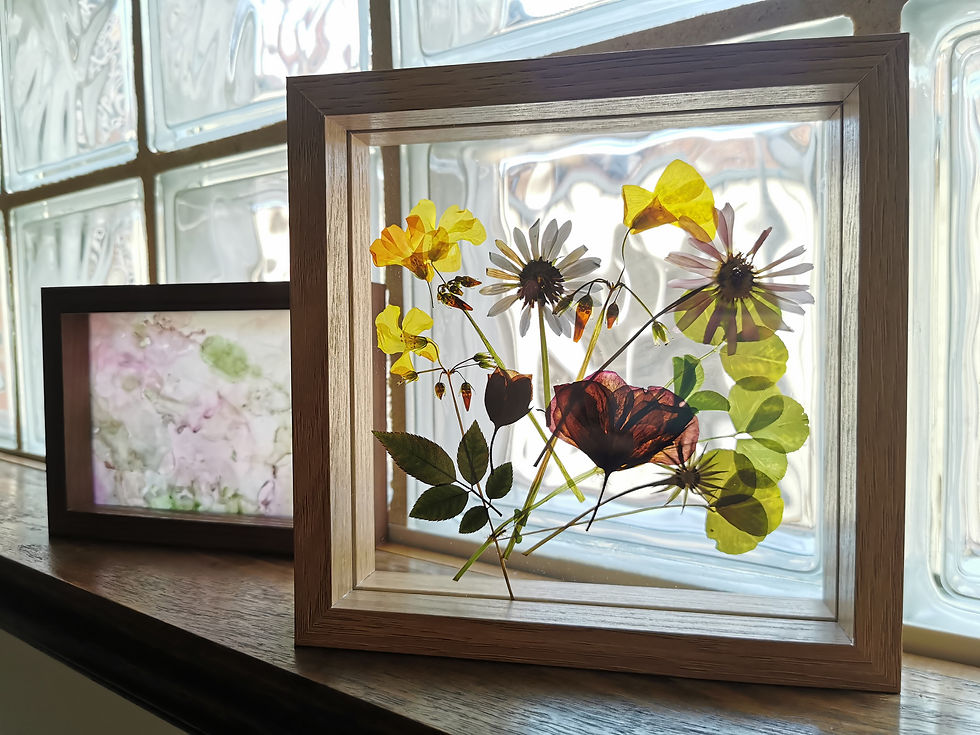 Thumbnail: pressed flower kit, pressed flower frame, press and frame flowers, pressed flower art