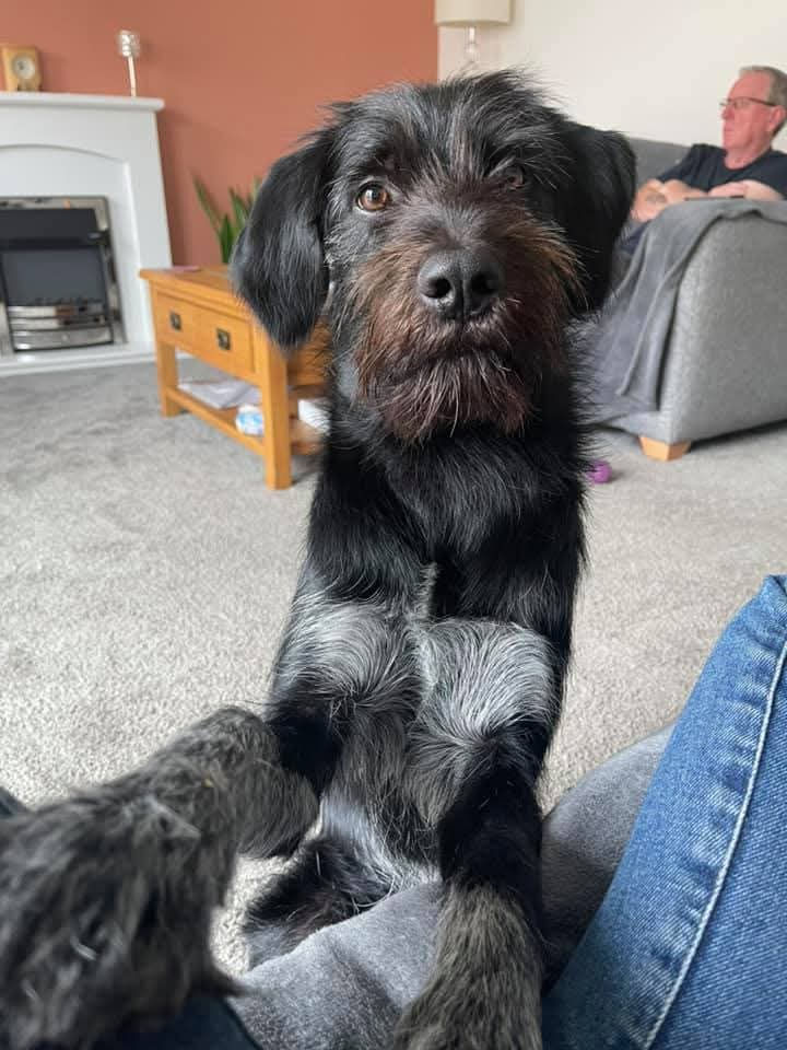 WhatsApp Image 2026-01-06 at 22.36.35.jpeg