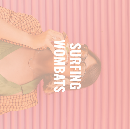 WOMBATS HOOVER_edited.png