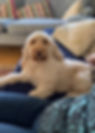 image-39669.jpeg