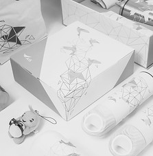 packaging system for brand