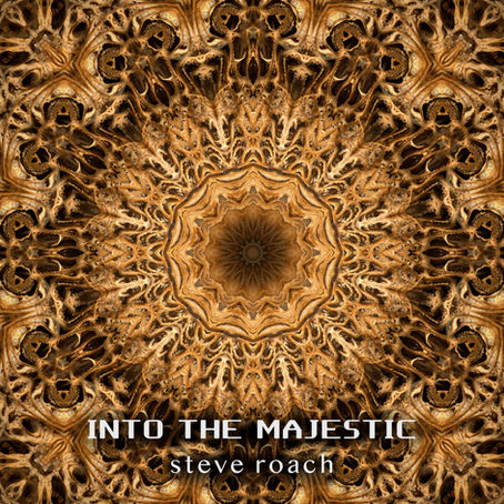 Steve Roach Into the Majestic (2021) (FR)
