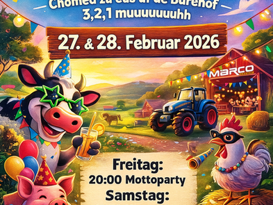 🎭 FCN-Fasnacht 2026 - Erinnerung & Helfer gesucht! 🎭