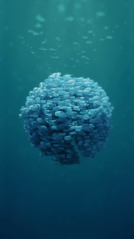 Flow.gif