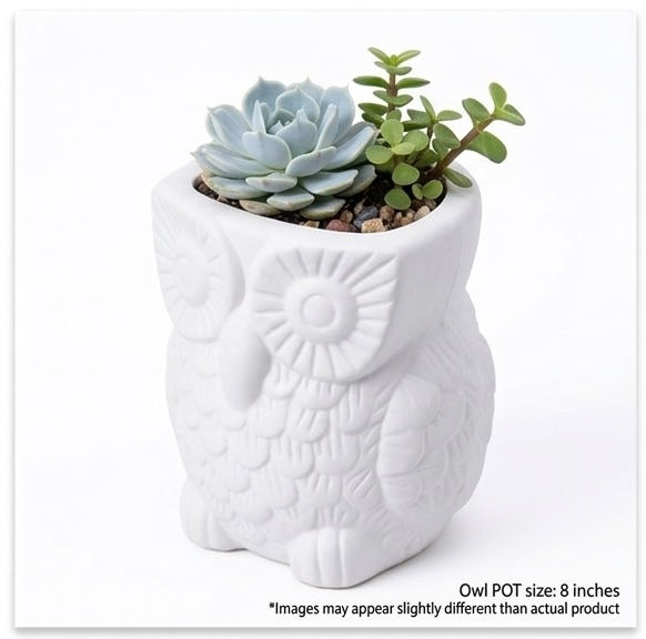 Owl Planter Pot