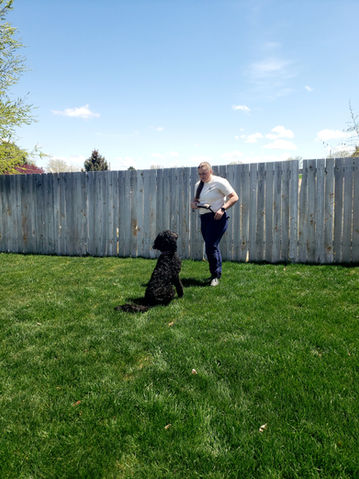 Training Action Shot in a low distraction environment.jpg