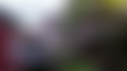 Hamesbest Update / Episode 2