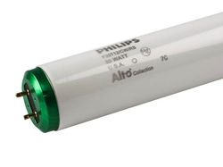 T12 Lamps (Older signs <2006)