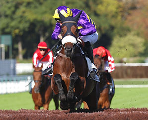 Lumino Jump Auteuil.JPG