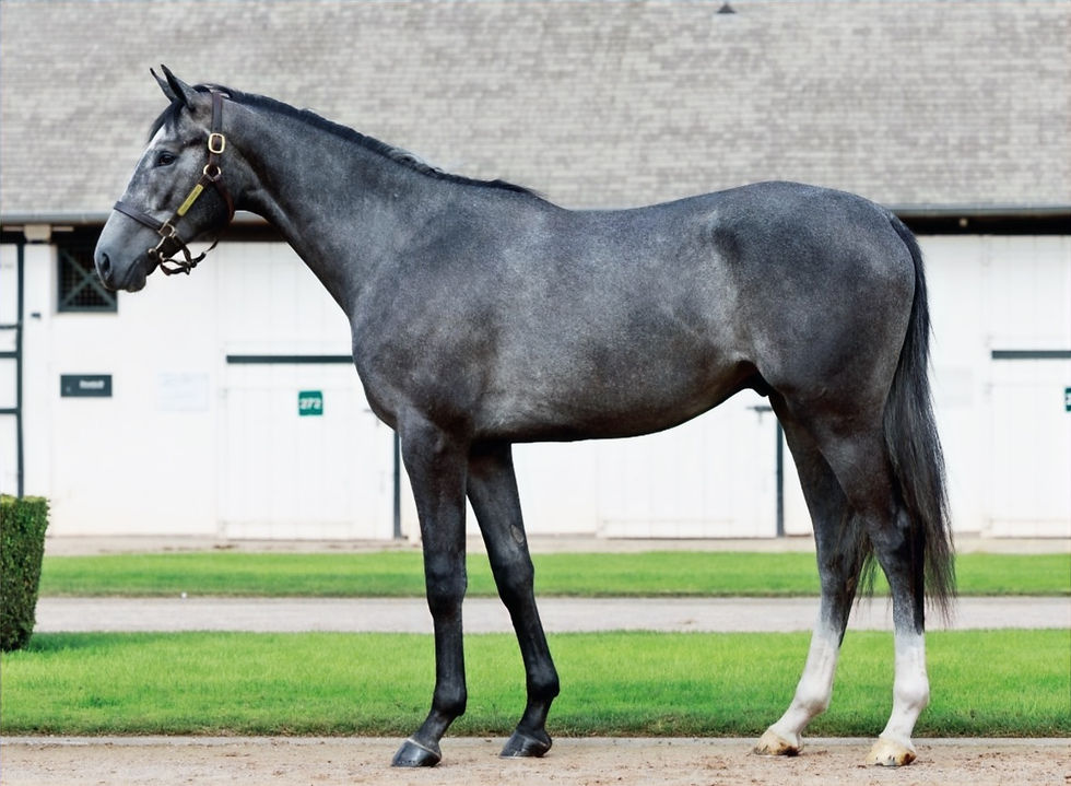 Apollo Sales_edited.jpg