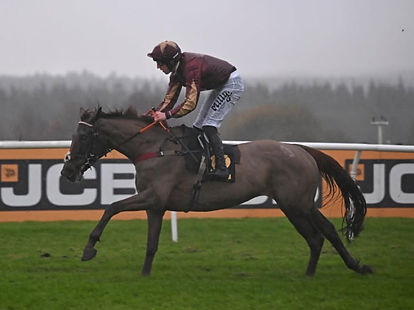 Nicky Martin Kapgarde.jpeg