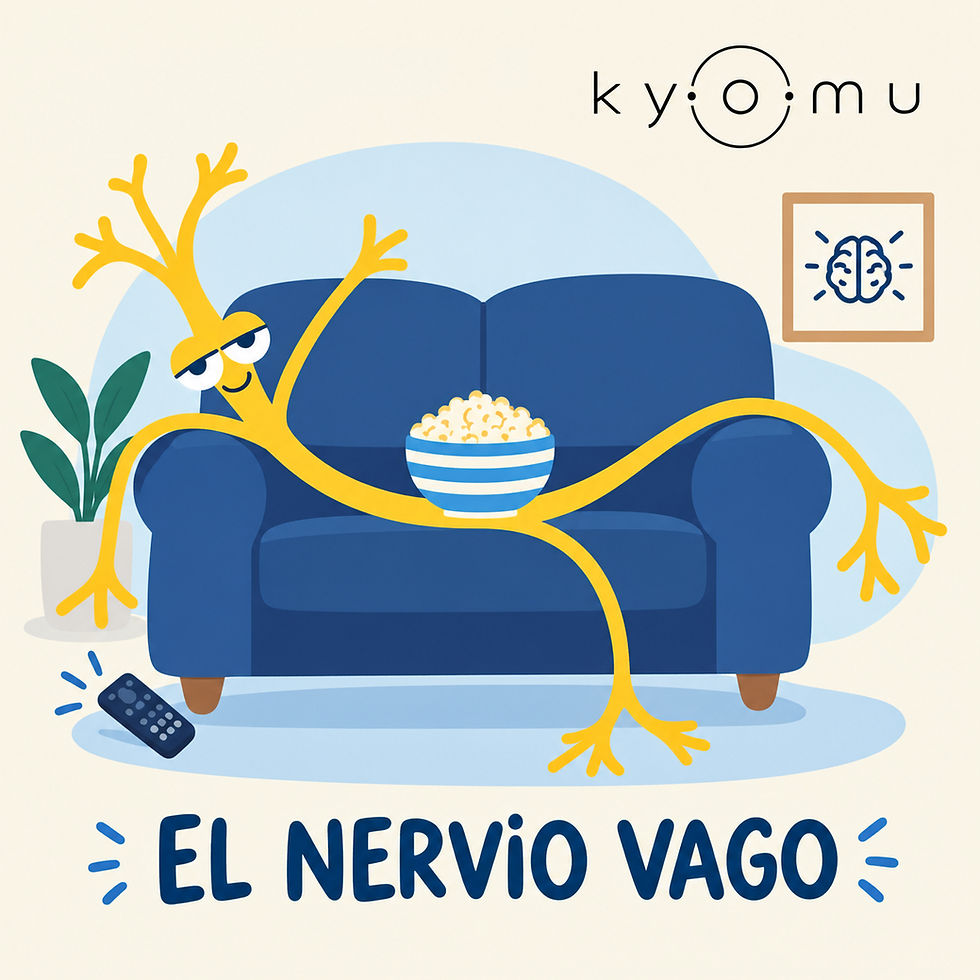 Nervio vago y estrés: cómo ayudar a tu cuerpo a salir del estado de alerta
