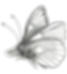 New Project (6).png