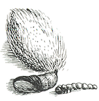 New Project (4).png