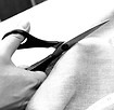 Cutting Fabric