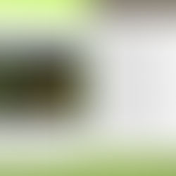 Crop It  Crack   Free Download X64