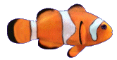 peixinho-kompack.gif