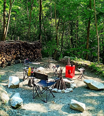 beautiful venue for High on Nature
