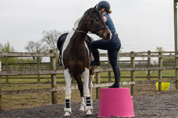 3 Step Mounting Block