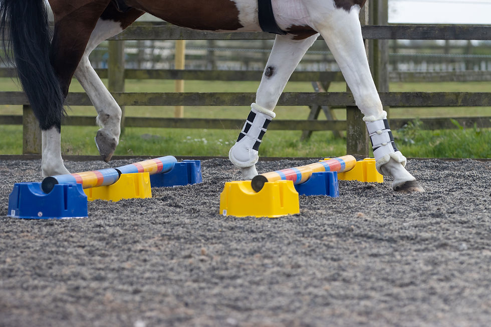 Cavaletti Stackable Block