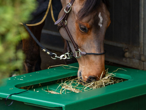 The Hay Saver in green with original grill