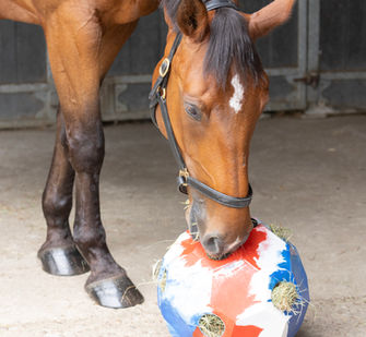 HayPlay Colour Merge