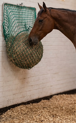 Hay Nest with TB _edited.png