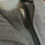 Miniature : Gros gilet/veste