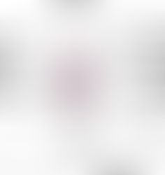 Quais são as partes externas do sistema genital feminino?