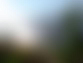 Energia solar: Solução para o Agronegócio, redução de custos e competitividade na produção rural