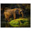 Thumbnail: African Elephant in Golden Light, Zimbabwe - Premium Matte Paper Poster