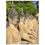 Thumbnail: Buddha Statues Fine Art Print | Thailand Temple Wall Art | Zen Home Decor