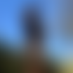 Statue of explorer David Livingstone standing in Mosi-oa-Tunya National Park, Zambia, shown from below as he shades his eyes and looks toward Victoria Falls under a clear blue sky.