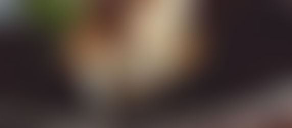 Why You Should Care About the Psychology of Flavors in Plant-Based Cuisine (Seriously, It’s Delicious!)