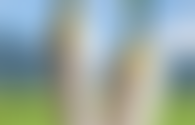 Oops! 我把客家變成植物了